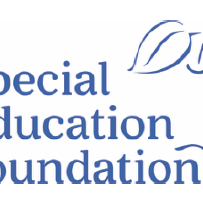 Gift of Sound 2026 Charity Raffle - logo